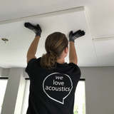 Ecophon Master B