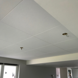 Ecophon Master B